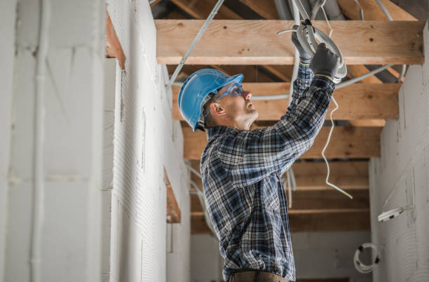 Best Electrical Troubleshooting Services  in Mount Carroll, IL