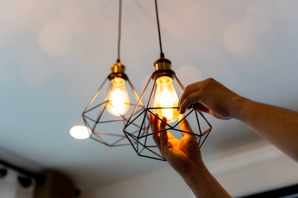 Best Electric Panel Repair  in Mount Carroll, IL