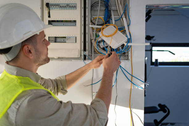 Best Electrician for Home Renovation  in Mount Carroll, IL